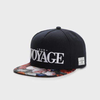 Cayler & Sons WL Bon Voyage Snapback grey 23 Euro