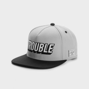 Cayler & Sons WL Trouble Snapback grey 23 Euro